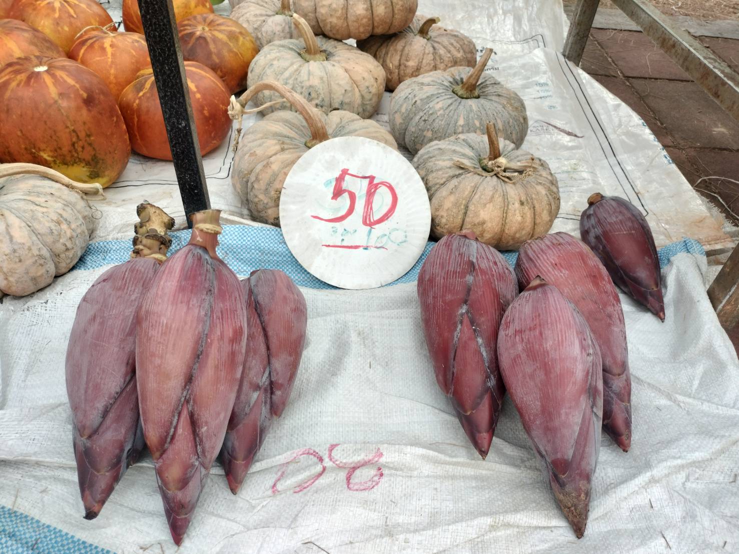 นครพนม   จัดแสดงและจำหน่ายผลผลิต โคก หนอง นา “ตลาดนัดโคก หนอง นา และอาหารปลอดภัย” สู่ความยั่งยืน