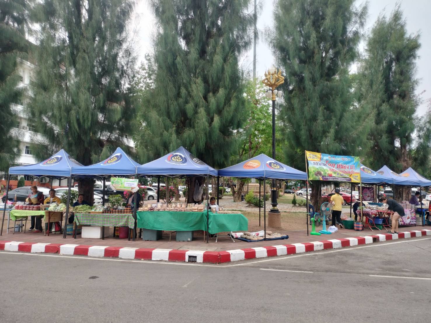 นครพนม   จัดแสดงและจำหน่ายผลผลิต โคก หนอง นา “ตลาดนัดโคก หนอง นา และอาหารปลอดภัย” สู่ความยั่งยืน