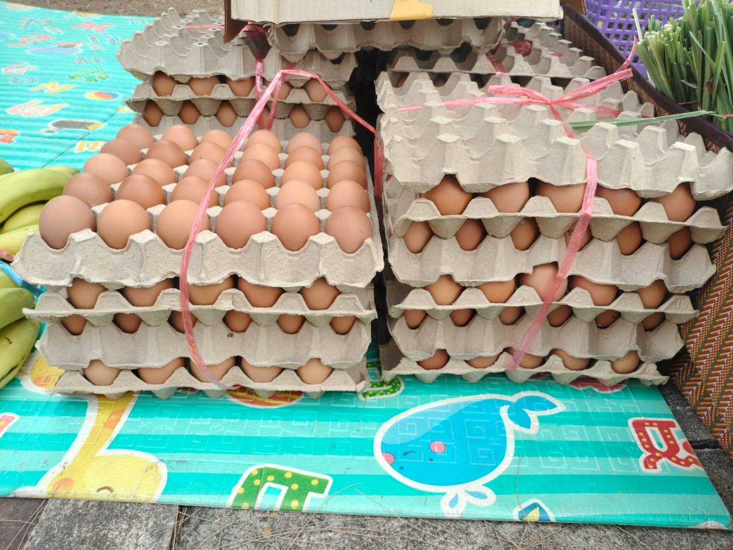 นครพนม   จัดแสดงและจำหน่ายผลผลิต โคก หนอง นา “ตลาดนัดโคก หนอง นา และอาหารปลอดภัย” สู่ความยั่งยืน