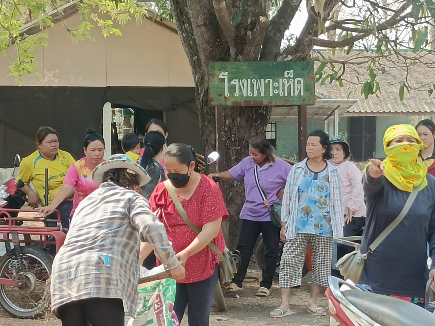 พช.นครพนม   ติดตาม สนับสนุนการดำเนินกิจกรรมส่งเสริมอาชีพเพาะเห็ดฟางกองเตี้ย โครงการศูนย์จัดการกองทุนชุมชน บริหารจัดการหนี้ “สำนึกดี แผนดี บริหารหนี้ได้”