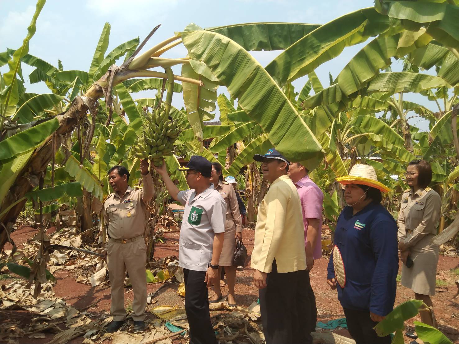 พ่อเมืองนครพนม   ติดตามผลสำเร็จ “โครงการพัฒนาศูนย์เรียนรู้ ทฤษฎีใหม่รูปแบบ โคก หนอง นา” พื้นที่อำเภอบ้านแพง