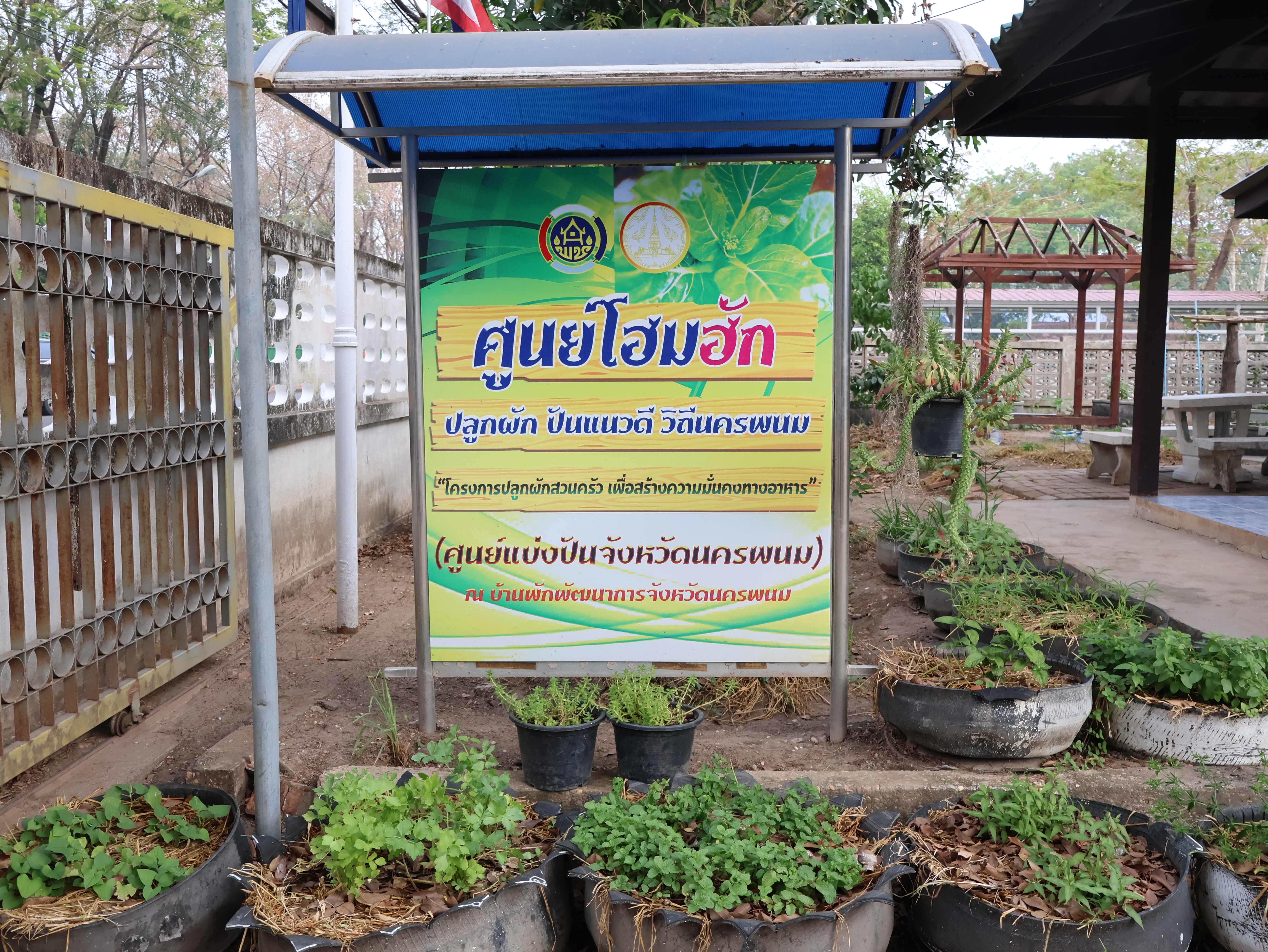 พช. นครพนม   ปฏิบัติการตามแนวพระราชดำริฯ “ปลูกพืช ปลูกผัก ปลูกรัก กับพช.” สร้างความมั่นคงทางอาหาร ลดรายจ่าย อาหารปลอดภัย ผู้นำต้องทำก่อน