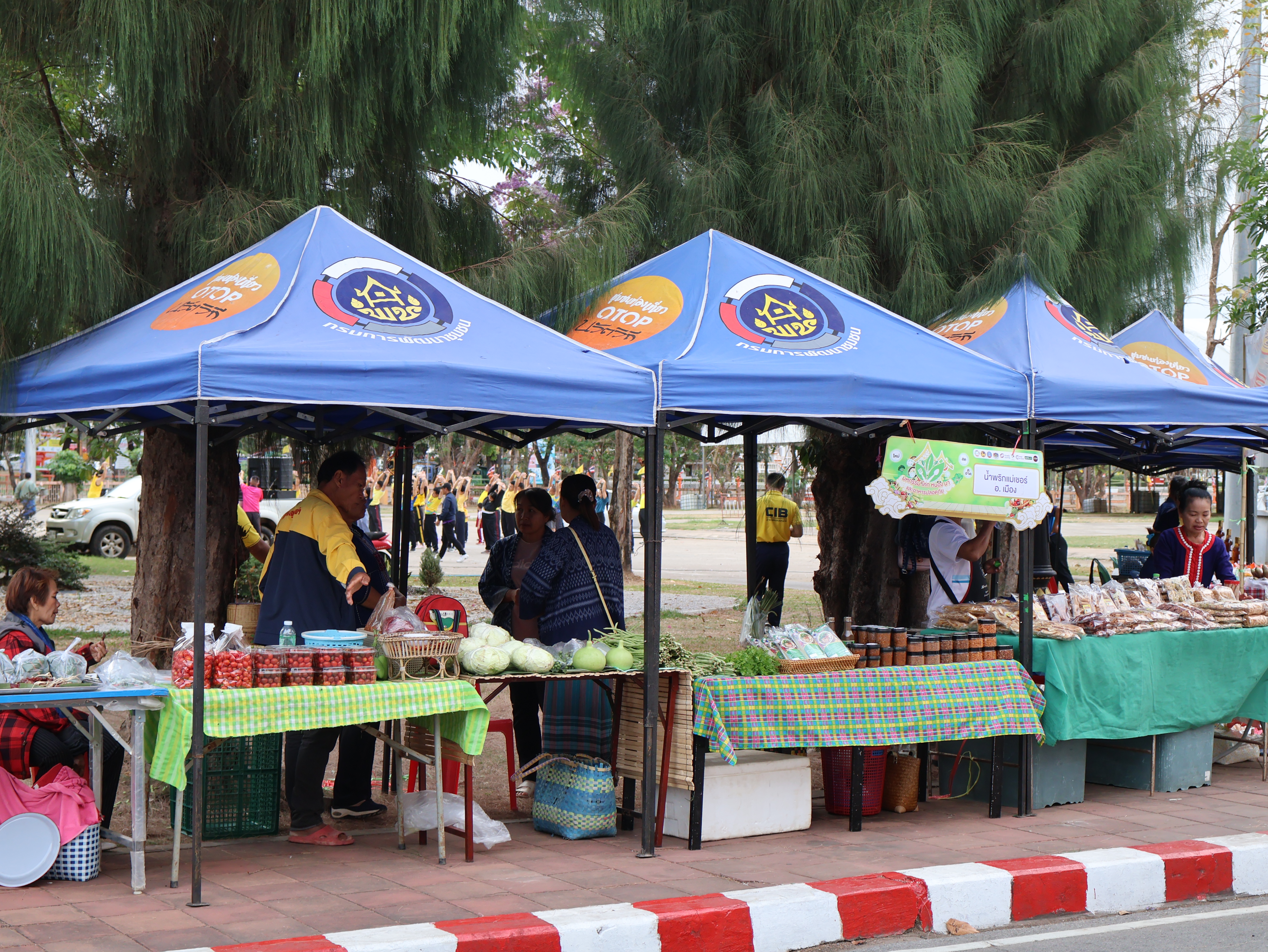 นครพนม   จัดแสดงและจำหน่ายผลผลิต โคก หนอง นา “ตลาดนัดโคก หนอง นา และอาหารปลอดภัย” สู่ความยั่งยืน