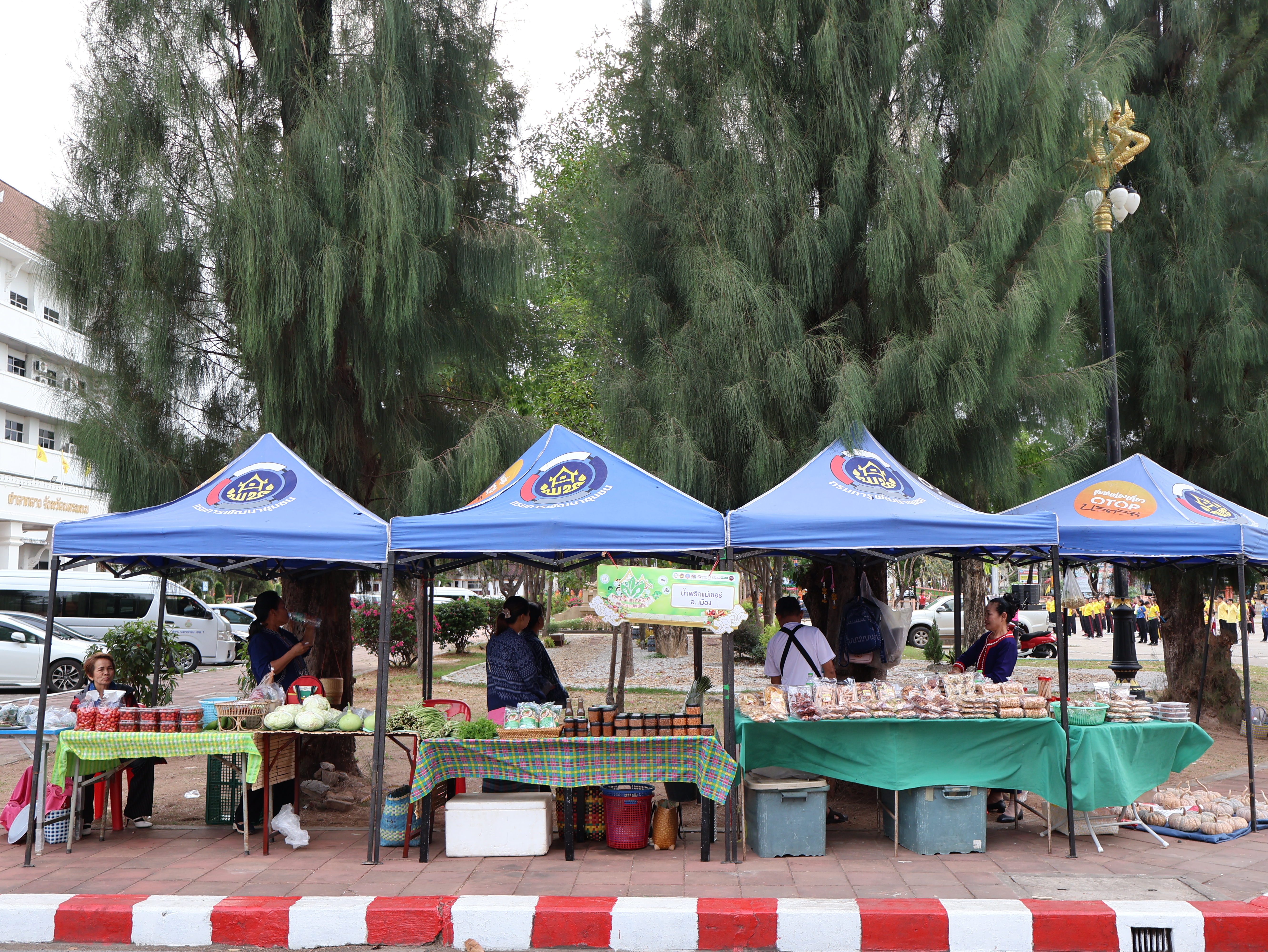 นครพนม   จัดแสดงและจำหน่ายผลผลิต โคก หนอง นา “ตลาดนัดโคก หนอง นา และอาหารปลอดภัย” สู่ความยั่งยืน
