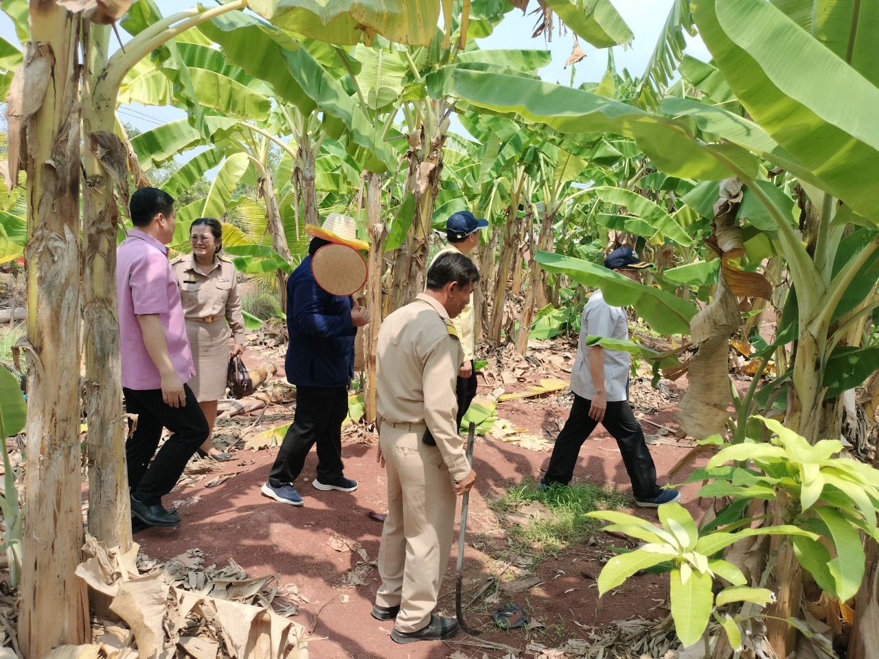 พ่อเมืองนครพนม   ติดตามผลสำเร็จ “โครงการพัฒนาศูนย์เรียนรู้ ทฤษฎีใหม่รูปแบบ โคก หนอง นา” พื้นที่อำเภอบ้านแพง