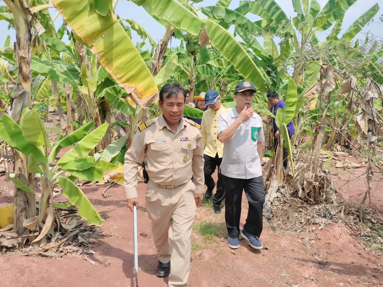พ่อเมืองนครพนม   ติดตามผลสำเร็จ “โครงการพัฒนาศูนย์เรียนรู้ ทฤษฎีใหม่รูปแบบ โคก หนอง นา” พื้นที่อำเภอบ้านแพง