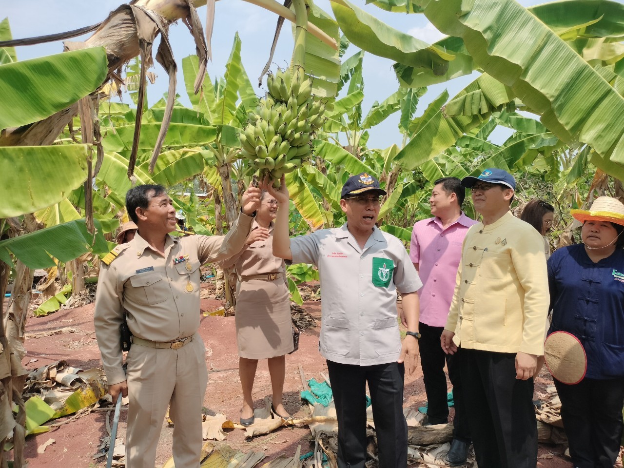 พ่อเมืองนครพนม   ติดตามผลสำเร็จ “โครงการพัฒนาศูนย์เรียนรู้ ทฤษฎีใหม่รูปแบบ โคก หนอง นา” พื้นที่อำเภอบ้านแพง