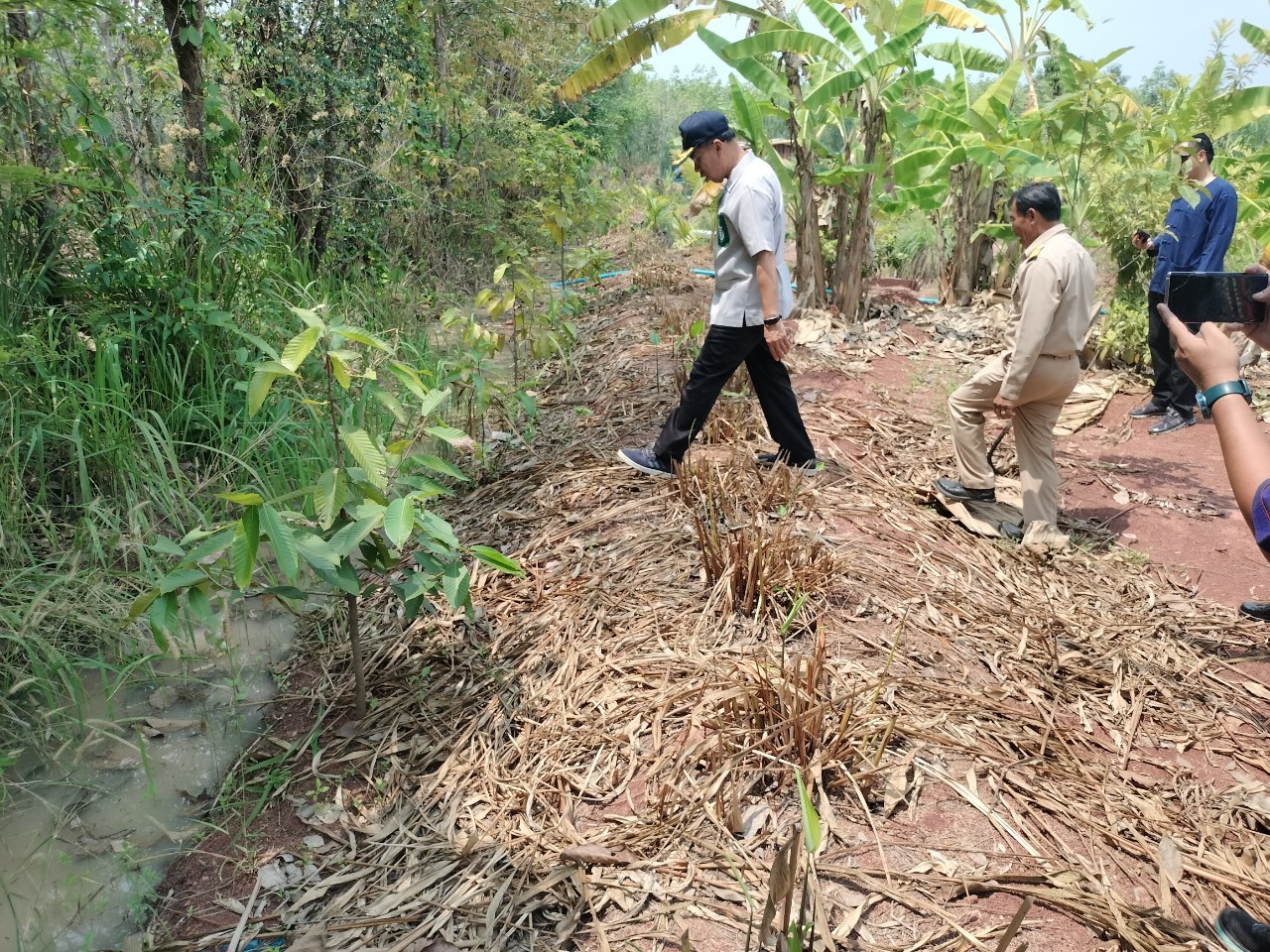 พ่อเมืองนครพนม   ติดตามผลสำเร็จ “โครงการพัฒนาศูนย์เรียนรู้ ทฤษฎีใหม่รูปแบบ โคก หนอง นา” พื้นที่อำเภอบ้านแพง