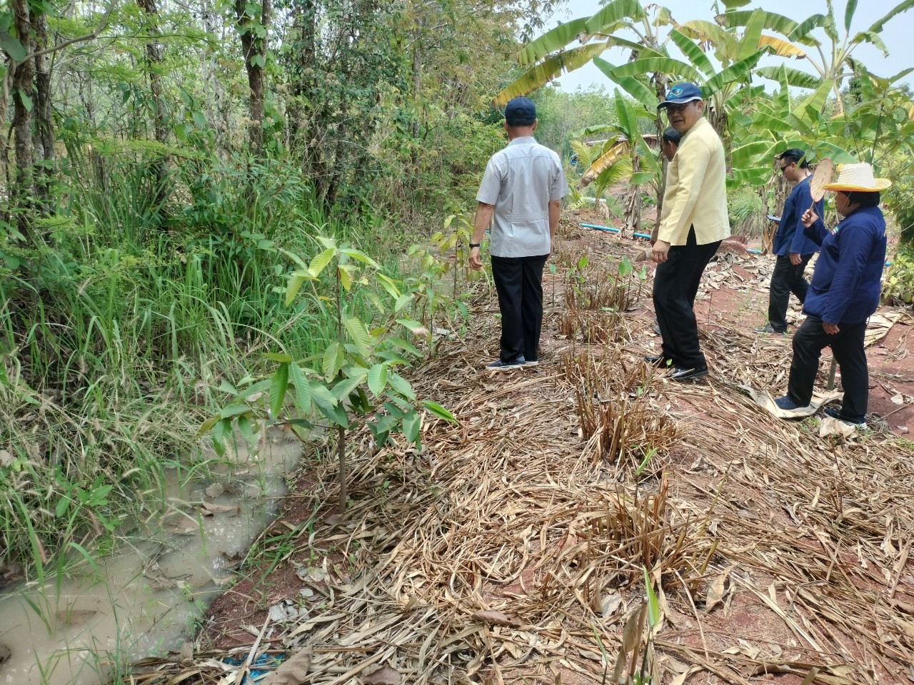 พ่อเมืองนครพนม   ติดตามผลสำเร็จ “โครงการพัฒนาศูนย์เรียนรู้ ทฤษฎีใหม่รูปแบบ โคก หนอง นา” พื้นที่อำเภอบ้านแพง