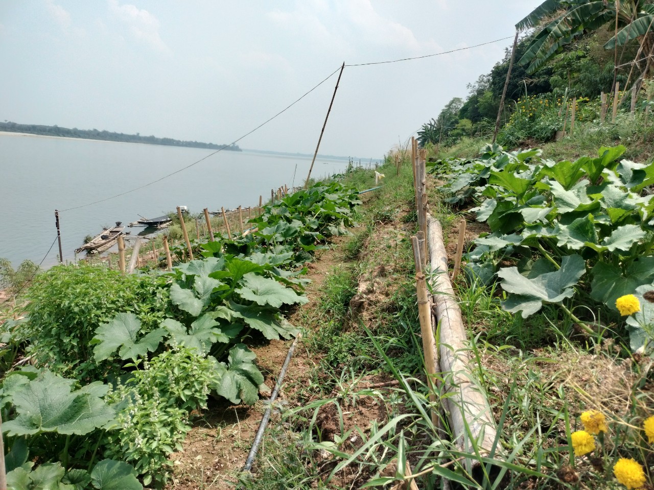 พ่อเมืองนครพนม   ลงพื้นที่ตรวจเยี่ยมการดำเนินโครงการหมู่บ้านยั่งยืน (Sustainable Village)พื้นที่อำเภอบ้านแพง