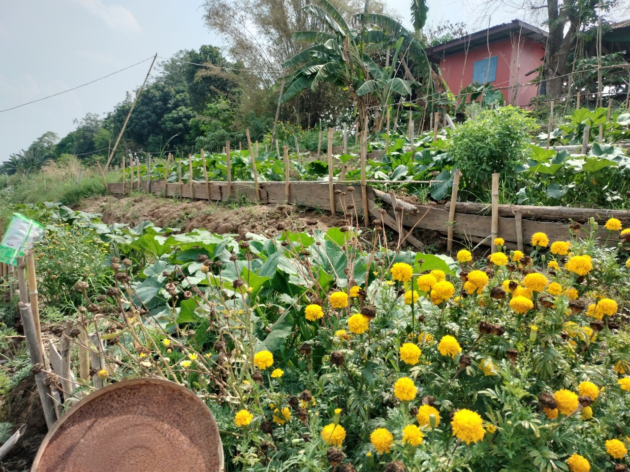 พ่อเมืองนครพนม   ลงพื้นที่ตรวจเยี่ยมการดำเนินโครงการหมู่บ้านยั่งยืน (Sustainable Village)พื้นที่อำเภอบ้านแพง