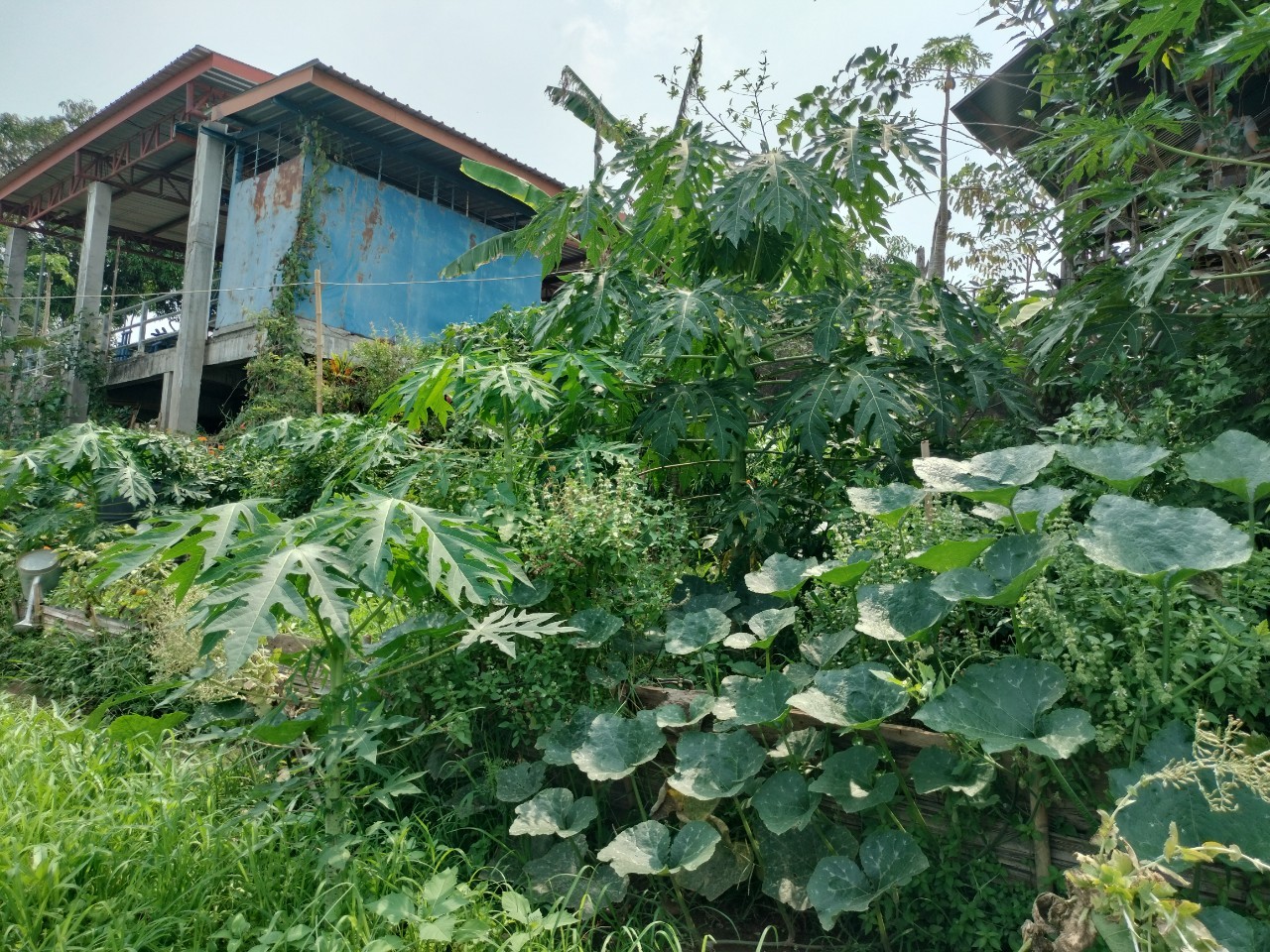พ่อเมืองนครพนม   ลงพื้นที่ตรวจเยี่ยมการดำเนินโครงการหมู่บ้านยั่งยืน (Sustainable Village)พื้นที่อำเภอบ้านแพง