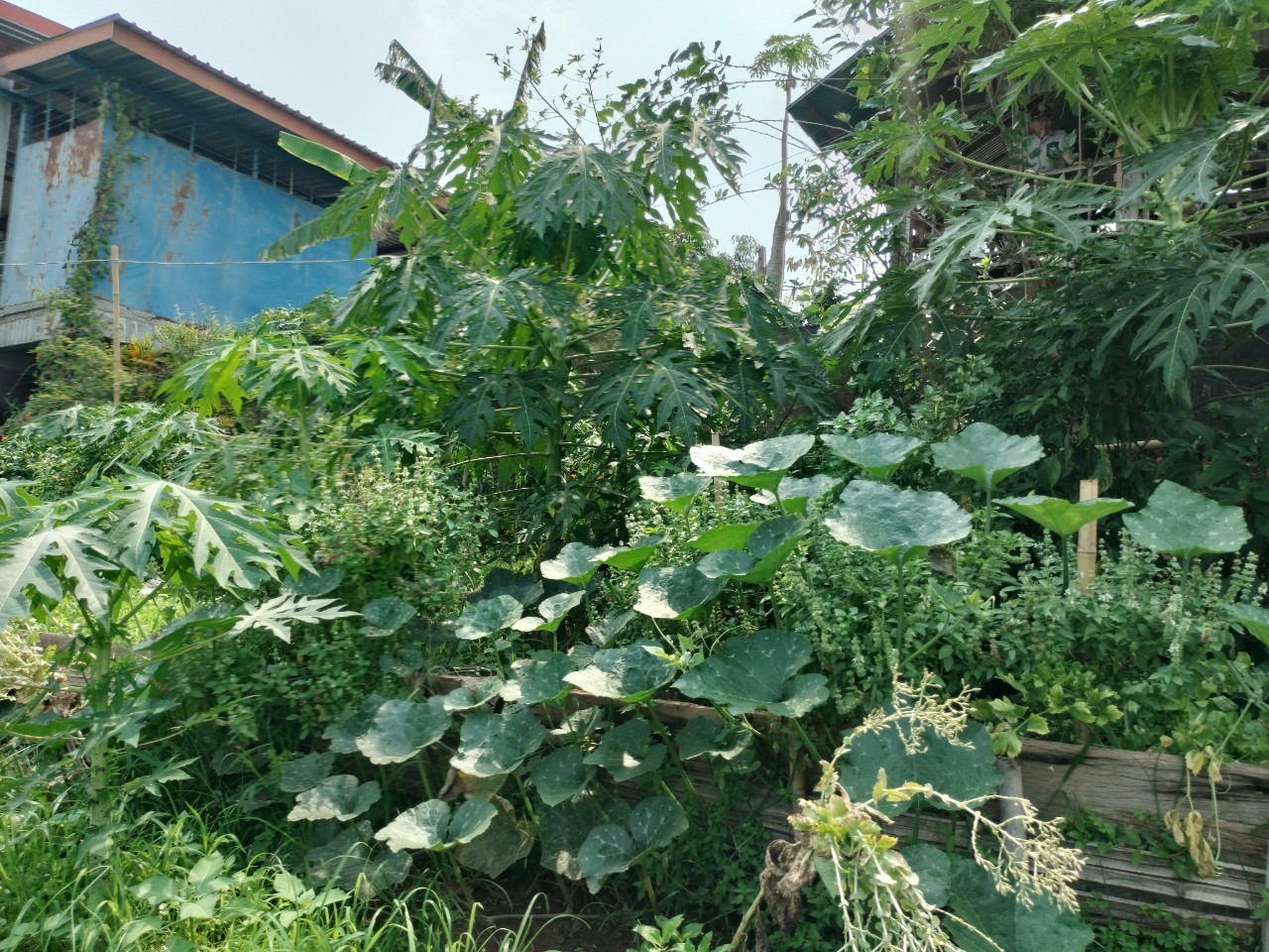พ่อเมืองนครพนม   ลงพื้นที่ตรวจเยี่ยมการดำเนินโครงการหมู่บ้านยั่งยืน (Sustainable Village)พื้นที่อำเภอบ้านแพง