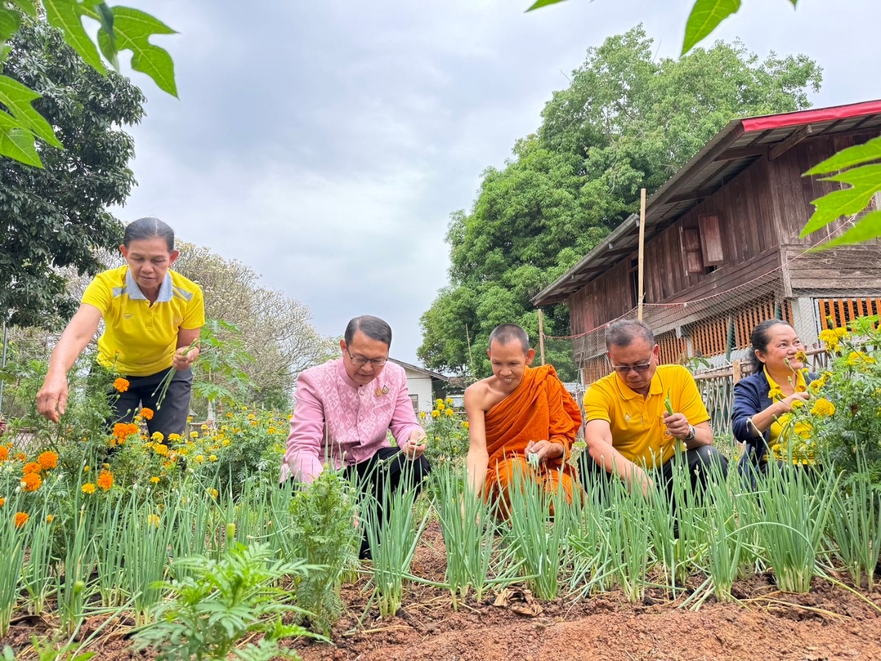 พช.นครพนม   ติดตามการดำเนินการตามแนวทางการน้อมนำแนวพระราชดำริของสมเด็จพระกนิษฐาธิราชเจ้า กรมสมเด็จพระเทพรัตนราชสุดา ฯ สยามบรมราชกุมารี สู่ปฏิบัติการปลูกผักสวนครัว เพื่อสร้างความมั่นคงทางอาหาร ประจำปีงบประมาณ พ.ศ. 2567