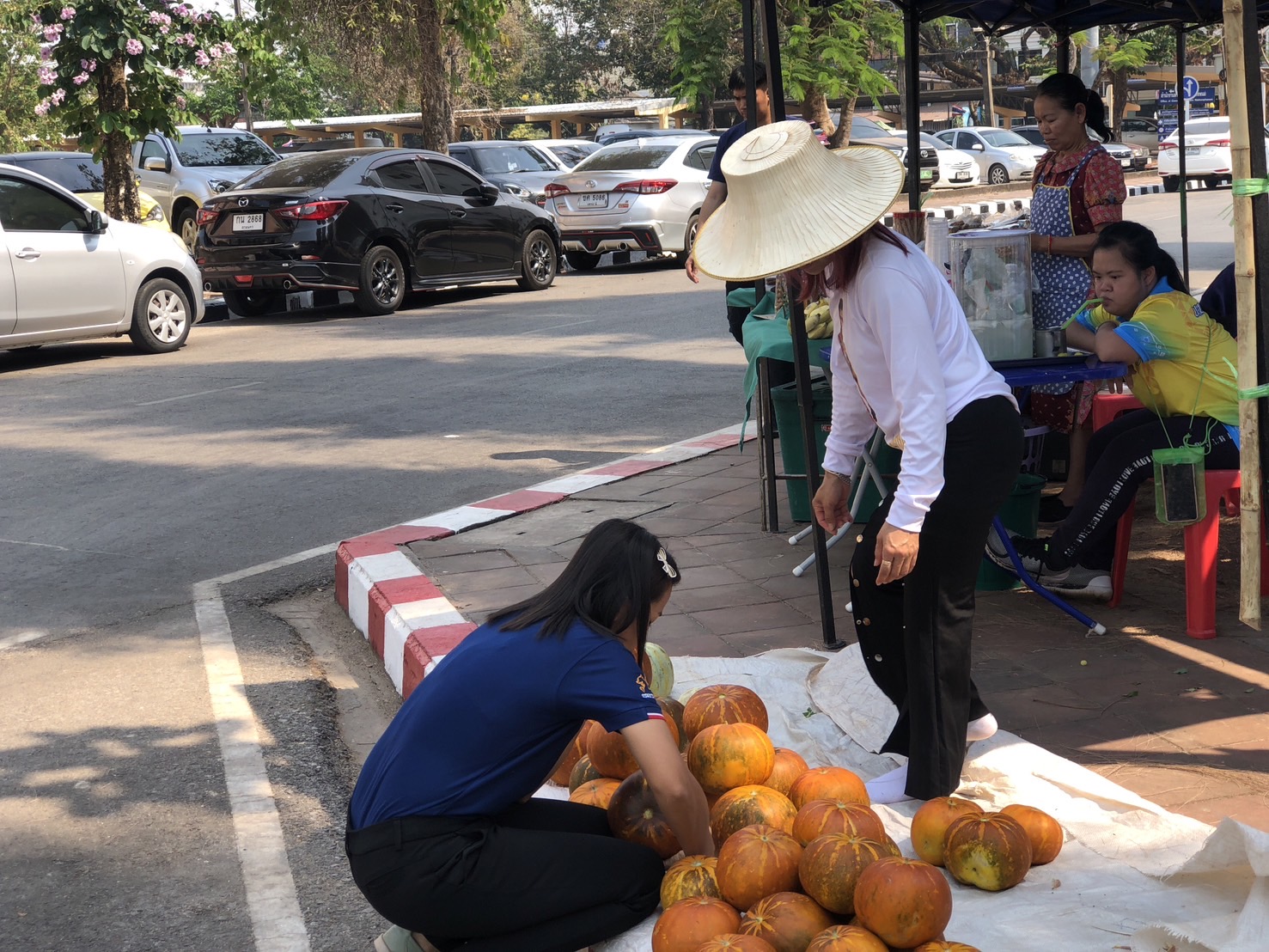 นครพนม   จัดแสดงและจำหน่ายผลผลิต โคก หนอง นา “ตลาดนัดโคก หนอง นา และอาหารปลอดภัย” สู่ความยั่งยืน