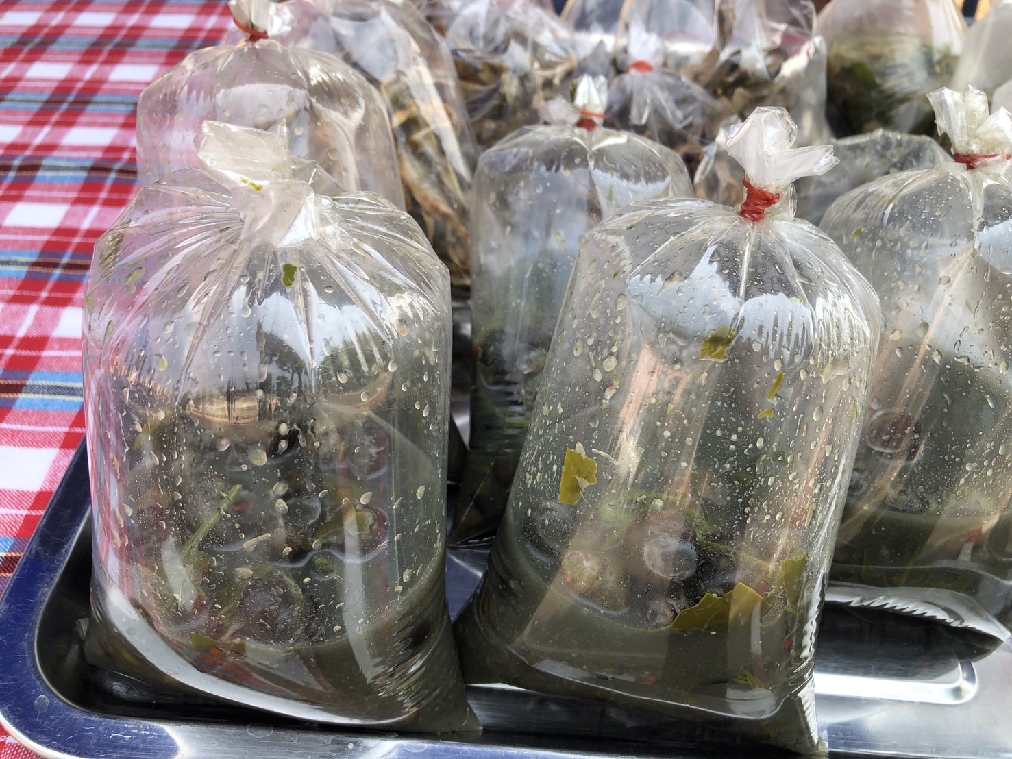 นครพนม   จัดแสดงและจำหน่ายผลผลิต โคก หนอง นา “ตลาดนัดโคก หนอง นา และอาหารปลอดภัย” สู่ความยั่งยืน