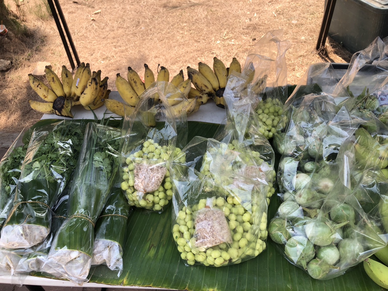 นครพนม   จัดแสดงและจำหน่ายผลผลิต โคก หนอง นา “ตลาดนัดโคก หนอง นา และอาหารปลอดภัย” สู่ความยั่งยืน