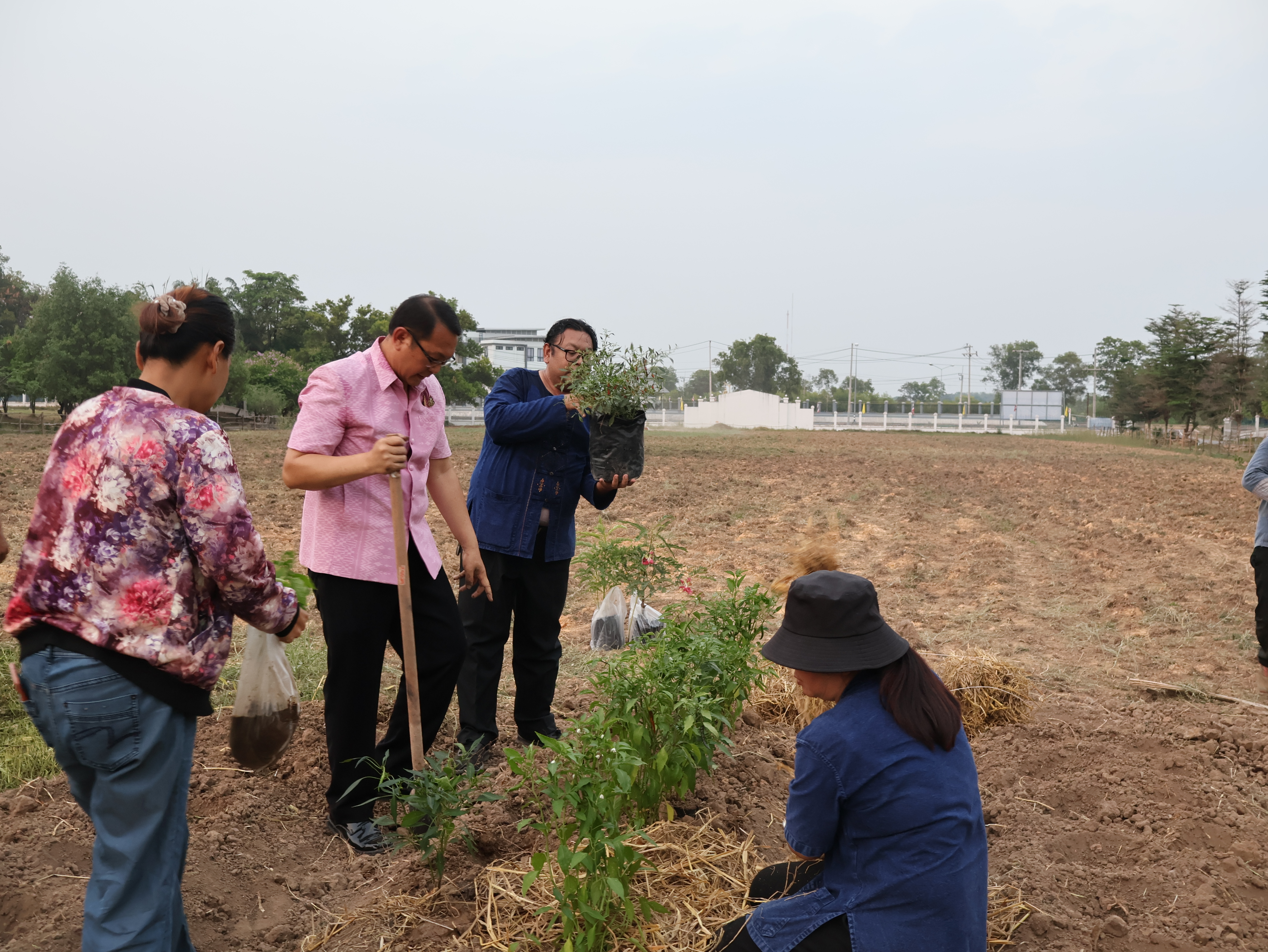 พช.นครพนม   นำทีมเจ้าหน้าที่พัฒนาชุมชนดำเนินการตามแนวทางการน้อมนำแนวพระราชดำริของสมเด็จพระกนิษฐาธิราชเจ้า กรมสมเด็จพระเทพรัตนราชสุดา ฯ สยามบรมราชกุมารี สู่ปฏิบัติการปลูกผักสวนครัว เพื่อสร้างความมั่นคงทางอาหาร ประจำปีงบประมาณ พ.ศ. 2567