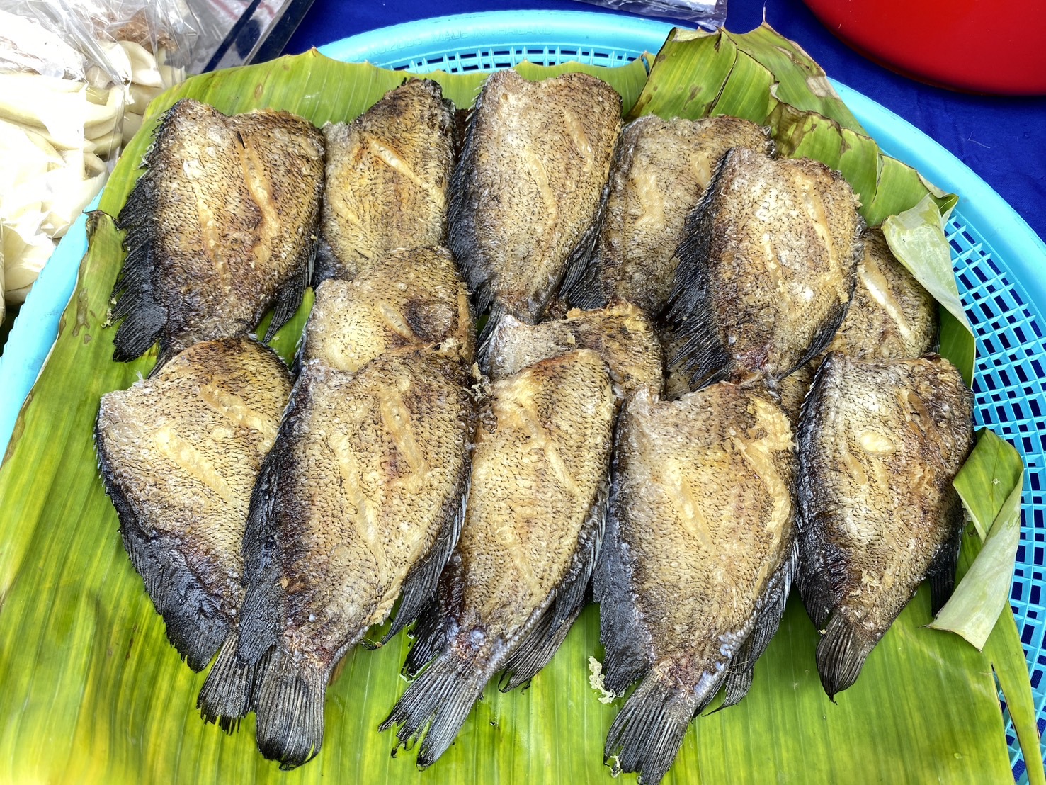 นครพนม   จัดแสดงและจำหน่ายผลผลิต โคก หนอง นา “ตลาดนัดโคก หนอง นา และอาหารปลอดภัย” สู่ความยั่งยืน