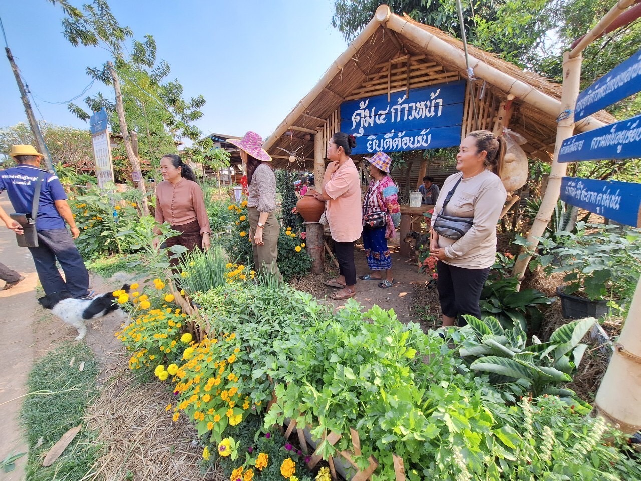 พช.นครพนม   “บูรณาการงาน และ บูรณาการคน” เพื่อนำไปสู่การบรรลุเป้าหมายอย่างยั่งยืนในการขับเคลื่อนโครงการปลูกพืชปลูกผัก ปลูกรักกับชุมชน สร้างความมั่นคงทางอาหาร ต่อยอดการพัฒนาตามหลักปรัชญาของเศรษฐกิจพอเพียง 25 คุ้มบ้าน ร่วมกับชุมชน  “รองเท้าสึกก่อนกางเกงขาด”