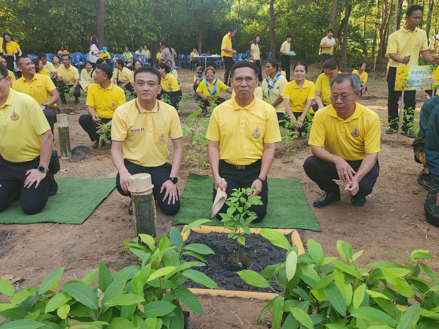 ผู้ว่าฯ นครพนม เปิดกิจกรรมปลูกต้นไม้เฉลิมพระเกียรติ เนื่องในโอกาสมหามงคลเฉลิมพระชนมพรรษา 6 รอบ 28 กรกฎาคม 2567 และวันต้นไม้ประจำปีของชาติ พ.ศ. 2567