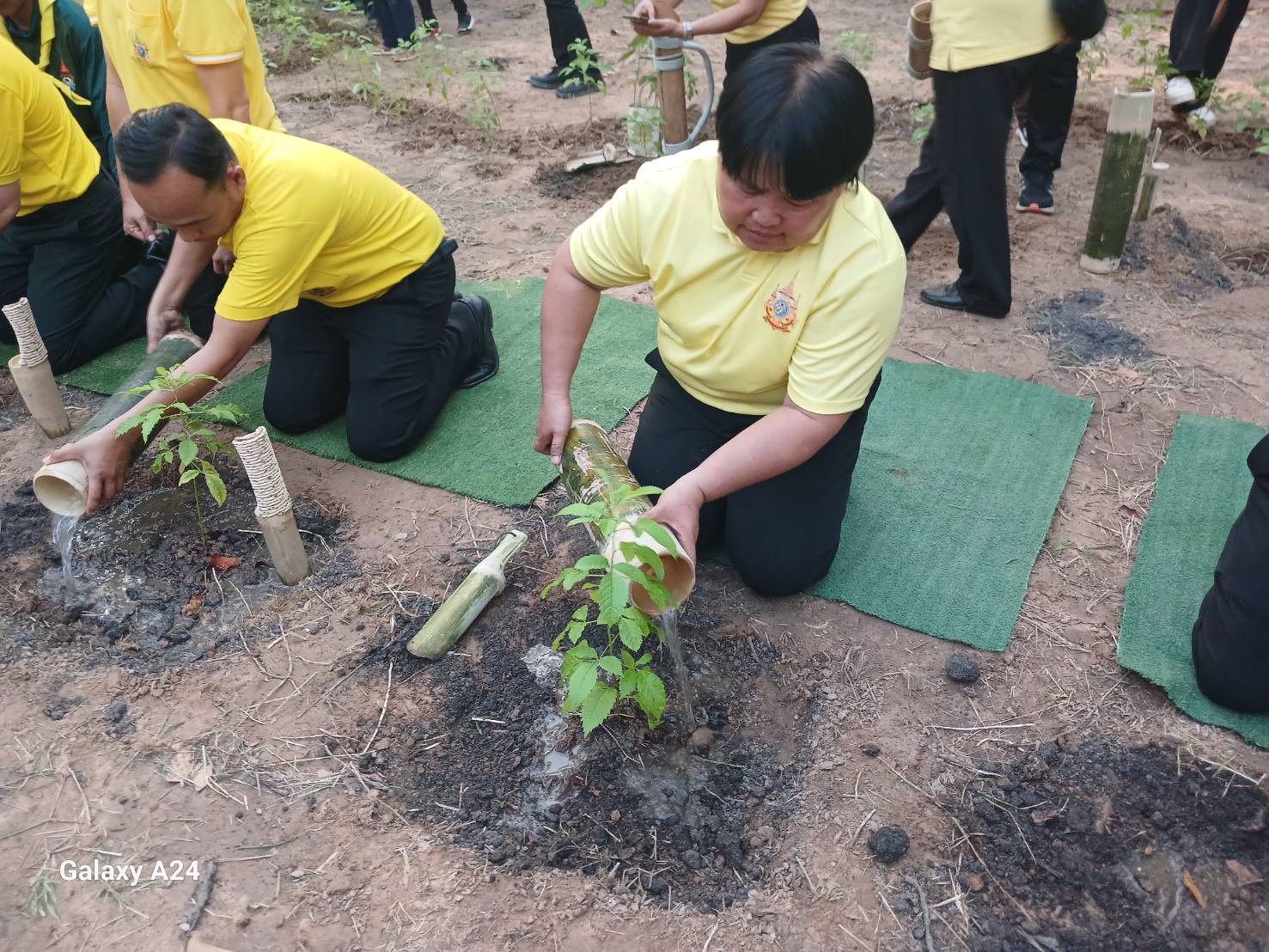 ผู้ว่าฯ นครพนม เปิดกิจกรรมปลูกต้นไม้เฉลิมพระเกียรติ เนื่องในโอกาสมหามงคลเฉลิมพระชนมพรรษา 6 รอบ 28 กรกฎาคม 2567 และวันต้นไม้ประจำปีของชาติ พ.ศ. 2567