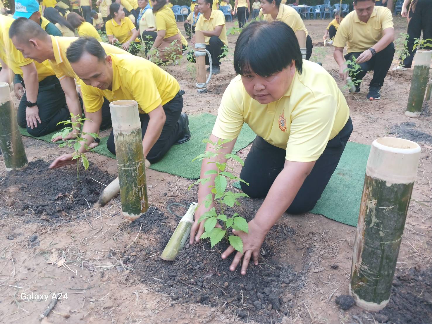 ผู้ว่าฯ นครพนม เปิดกิจกรรมปลูกต้นไม้เฉลิมพระเกียรติ เนื่องในโอกาสมหามงคลเฉลิมพระชนมพรรษา 6 รอบ 28 กรกฎาคม 2567 และวันต้นไม้ประจำปีของชาติ พ.ศ. 2567