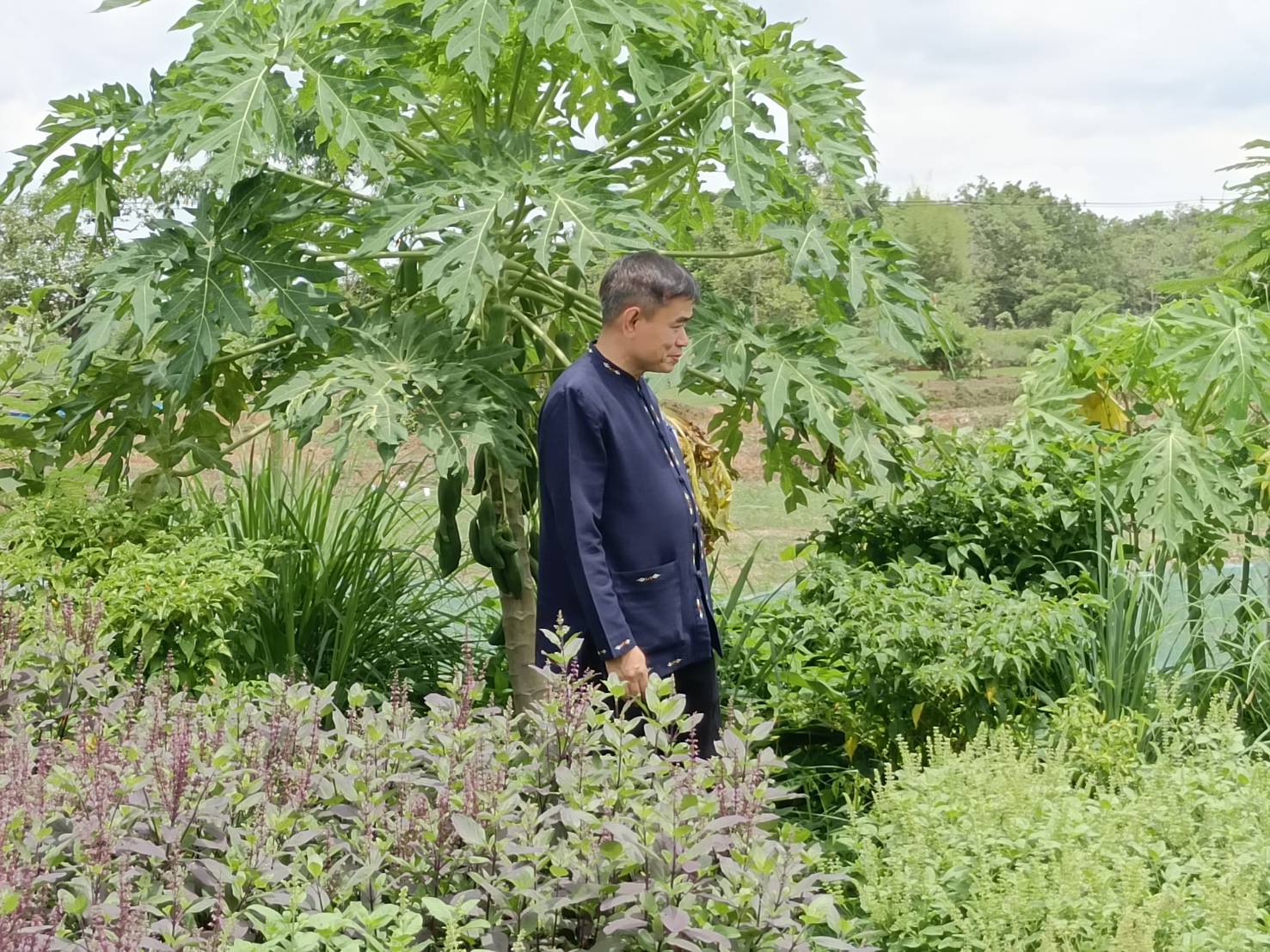 พช.นครพนม    ติดตามสนับสนุนการขับเคลื่อนงานตามนโยบายสำคัญของกรมการพัฒนาชุมชน พื้นที่ตำบลนามะเขือ อำเภอปลาปาก