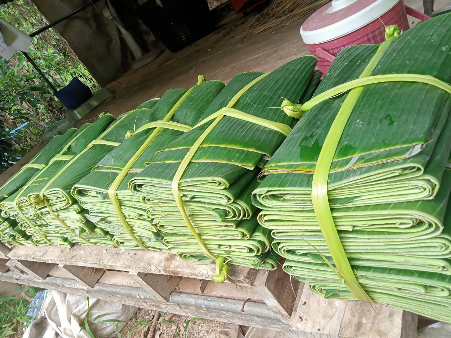 ผู้ว่าฯ นครพนม   มุ่งมั่นส่งเสริมอาชีพและเพิ่มรายได้ของประชาชน ให้สามารถพึ่งพาตนเองได้อย่างยั่งยืน