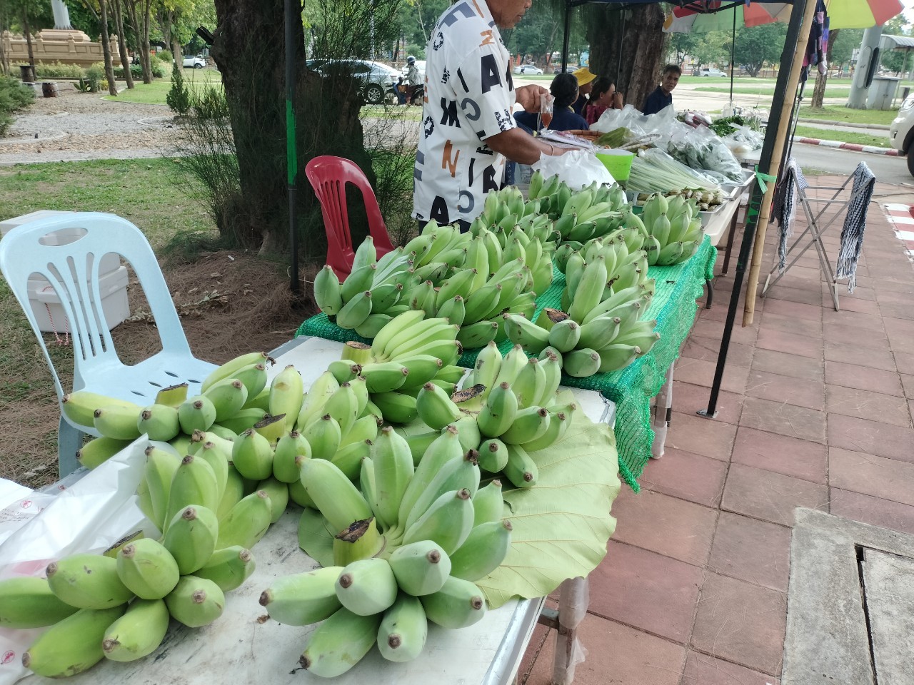 นครพนม   จัดแสดงและจำหน่ายผลผลิต โคก หนอง นา “ตลาดนัดโคก หนอง นา และอาหารปลอดภัย” สู่ความยั่งยืน