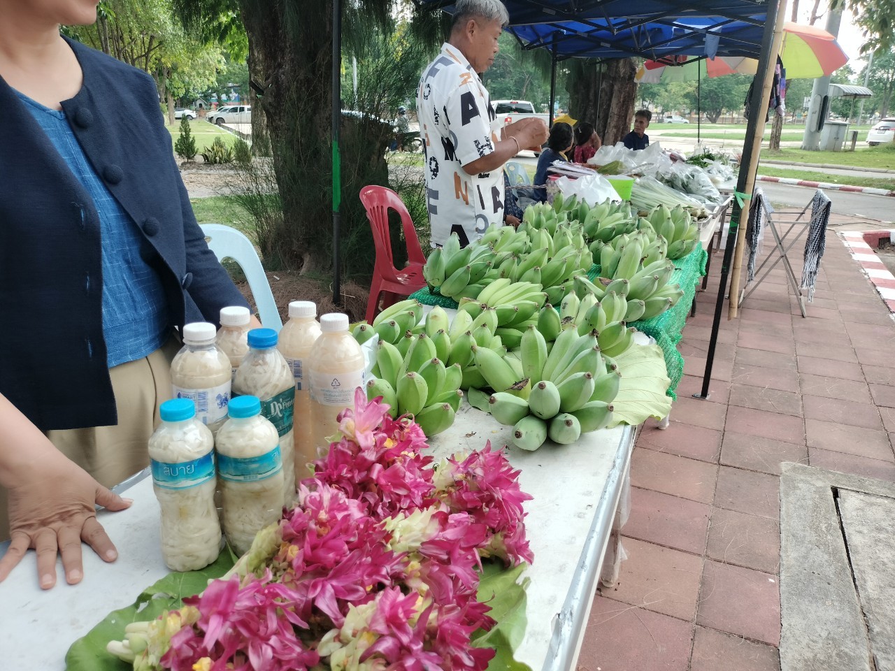 นครพนม   จัดแสดงและจำหน่ายผลผลิต โคก หนอง นา “ตลาดนัดโคก หนอง นา และอาหารปลอดภัย” สู่ความยั่งยืน