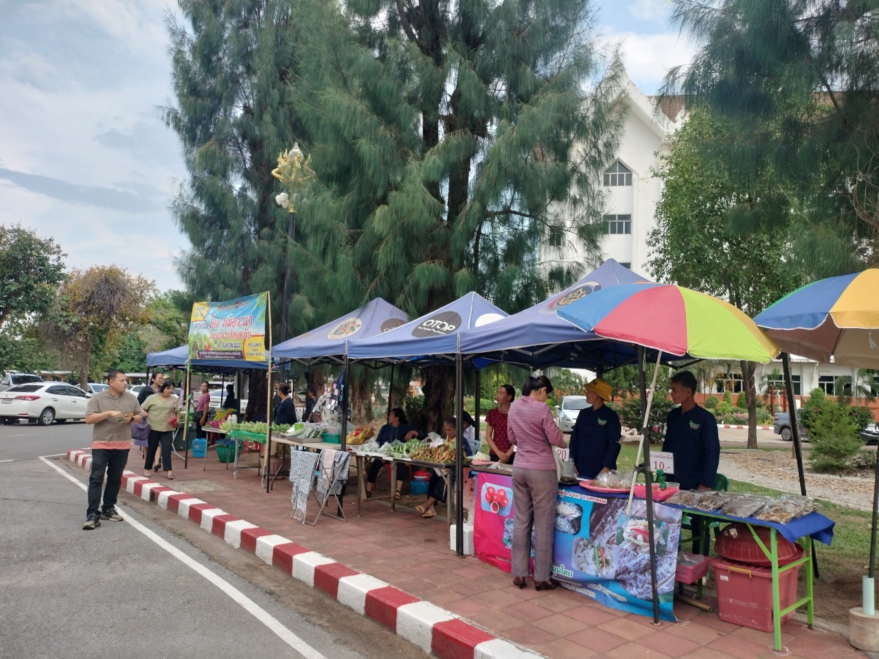 นครพนม   จัดแสดงและจำหน่ายผลผลิต โคก หนอง นา “ตลาดนัดโคก หนอง นา และอาหารปลอดภัย” สู่ความยั่งยืน