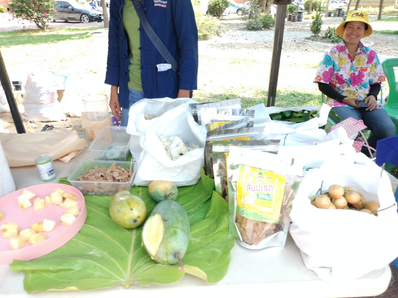 ผู้ว่าฯ นครพนม   ส่งเสริมการจัดแสดงและจำหน่ายผลผลิต โคก หนอง นา “ตลาดนัดโคก หนอง นา และอาหารปลอดภัย” สู่ความยั่งยืน