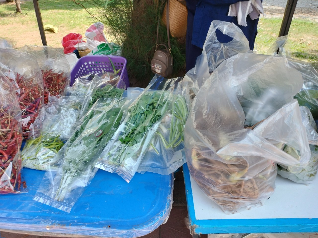 ผู้ว่าฯ นครพนม   ส่งเสริมการจัดแสดงและจำหน่ายผลผลิต โคก หนอง นา “ตลาดนัดโคก หนอง นา และอาหารปลอดภัย” สู่ความยั่งยืน