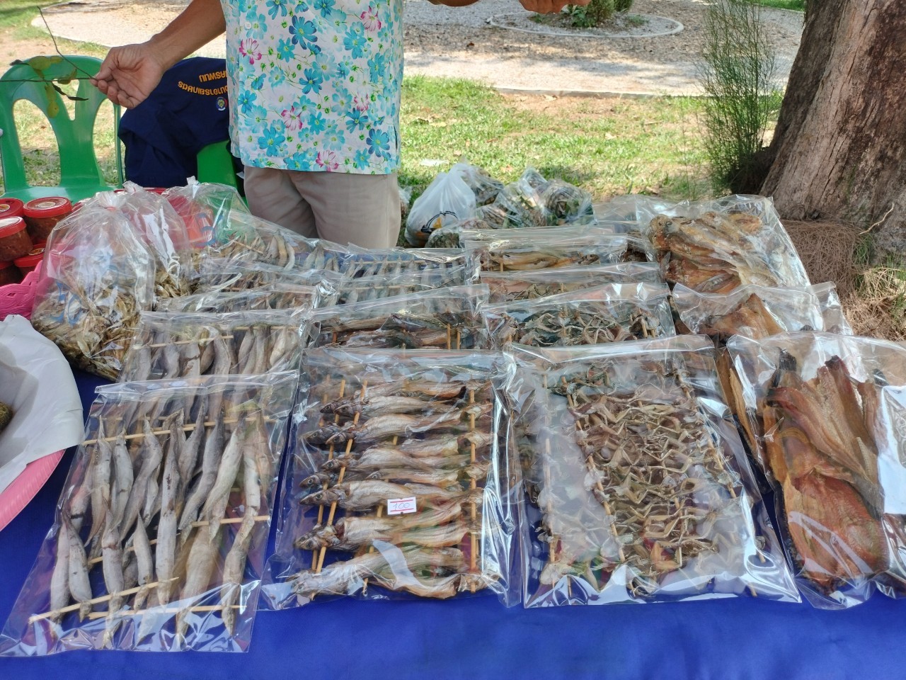 ผู้ว่าฯ นครพนม   ส่งเสริมการจัดแสดงและจำหน่ายผลผลิต โคก หนอง นา “ตลาดนัดโคก หนอง นา และอาหารปลอดภัย” สู่ความยั่งยืน