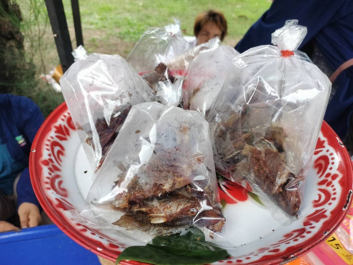นครพนม   จัดแสดงและจำหน่ายผลผลิต โคก หนอง นา “ตลาดนัดโคก หนอง นา และอาหารปลอดภัย” สู่ความยั่งยืน