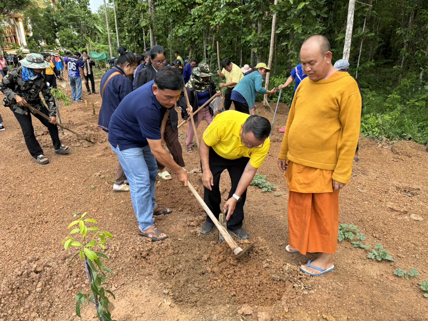 นครพนม   ขยายผลการส่งเสริมเศรษฐกิจชุมชน คนนครพนม “จากใบตองกล้วยธรรมดาสู่มูลค่าเพิ่มทางเศรษฐกิจ” ต้นเงิน (ATM) ข้างบ้าน ต้นบำนาญในสวน พื้นที่อำเภอวังยาง