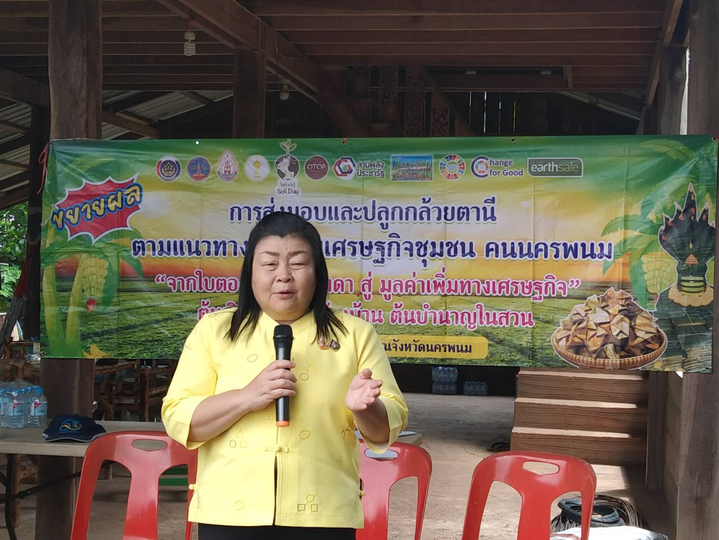 พช.นครพนม   ลงพื้นที่ส่งมอบหน่อกล้วยตานี กิจกรรมส่งเสริมปลูกกล้วยตานีตามแนวทางส่งเสริมเศรษฐกิจชุมชน คนนครพนม “จากใบตองกล้วยธรรมดาสู่มูลค่าเพิ่มทางเศรษฐกิจ” ต้นเงิน (ATM) ข้างบ้าน ต้นบำนาญในสวน
