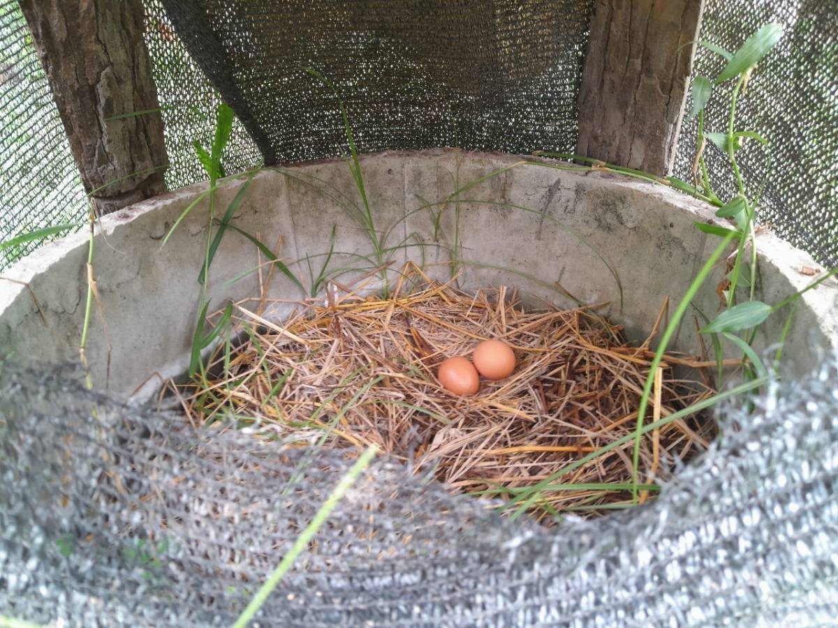 พช.นครพนม   ร่วมตรวจติดตามและประเมินผลแบบบูรณาการ โครงการแก้ไขปัญหาความยากจนแบบบูรณาการ “นครพนม สร้างสังคมอุดมสุข บำบัดทุกข์ด้วยชุมชนท้องถิ่น” งบประมาณตามแผนปฏิบัติราชการประจำปีของจังหวัดนครพนม ประจำปีงบประมาณ พ.ศ. 2566