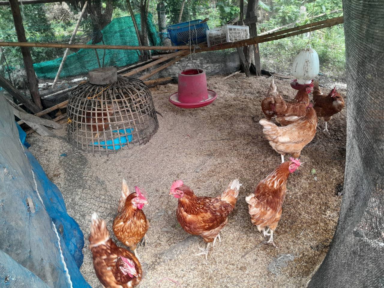 พช.นครพนม   ร่วมตรวจติดตามและประเมินผลแบบบูรณาการ โครงการแก้ไขปัญหาความยากจนแบบบูรณาการ “นครพนม สร้างสังคมอุดมสุข บำบัดทุกข์ด้วยชุมชนท้องถิ่น” งบประมาณตามแผนปฏิบัติราชการประจำปีของจังหวัดนครพนม ประจำปีงบประมาณ พ.ศ. 2566