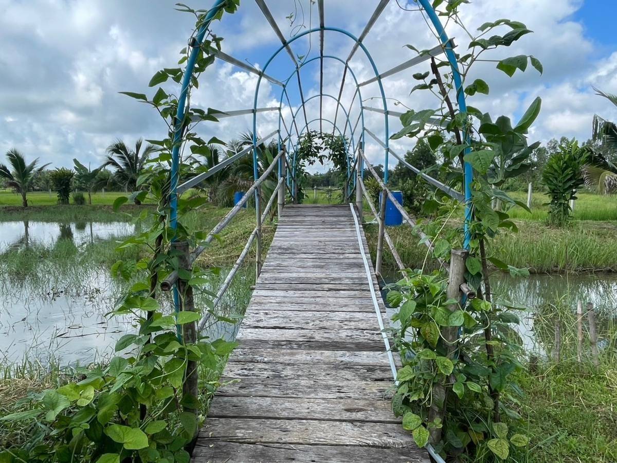 พช.นครพนม   รวมพลังภาคีเครือข่ายจัดโครงการส่งเสริมและสนับสนุนกิจกรรมอนุรักษ์พันธุกรรมพืช ตามโครงการอนุรักษ์พันธุกรรมพืช อันเนื่องมาจากพระราชดำริ สมเด็จพระเทพรัตนราชสุดาฯ สยามบรมราชกุมารี (อพ.สธ.)