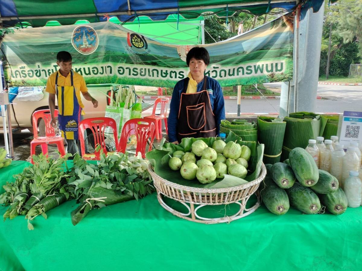 นครพนม   ส่งเสริมการสร้างรายได้จากกิจการอาหารปลอดภัย
