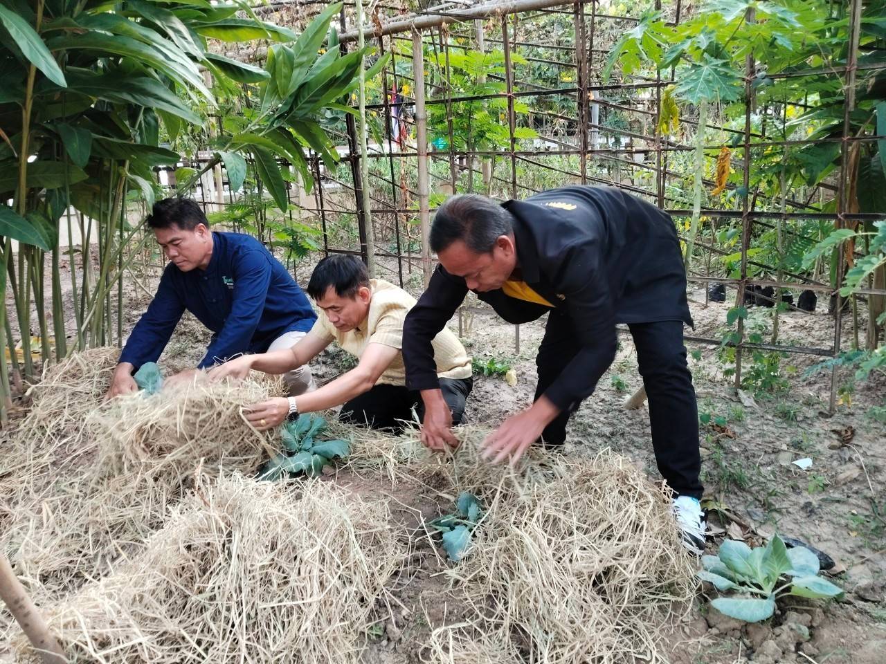 รองผู้ว่าฯ นครพนม น้อมนำแนวพระราชดำริของสมเด็จพระกนิษฐาธิราชเจ้า กรมสมเด็จพระเทพรัตนราชสุดาฯ สยามบรมราชกุมารี สู่ปฏิบัติการปลูกผักสวนครัว เพื่อสร้างความมั่นคงทางอาหาร ประจำปีงบประมาณ พ.ศ. 2568 (THE CONCEPTS OF CHANGE FOR 5 G) “ปรับเปลี่ยนดี ชีวีมีสุข”