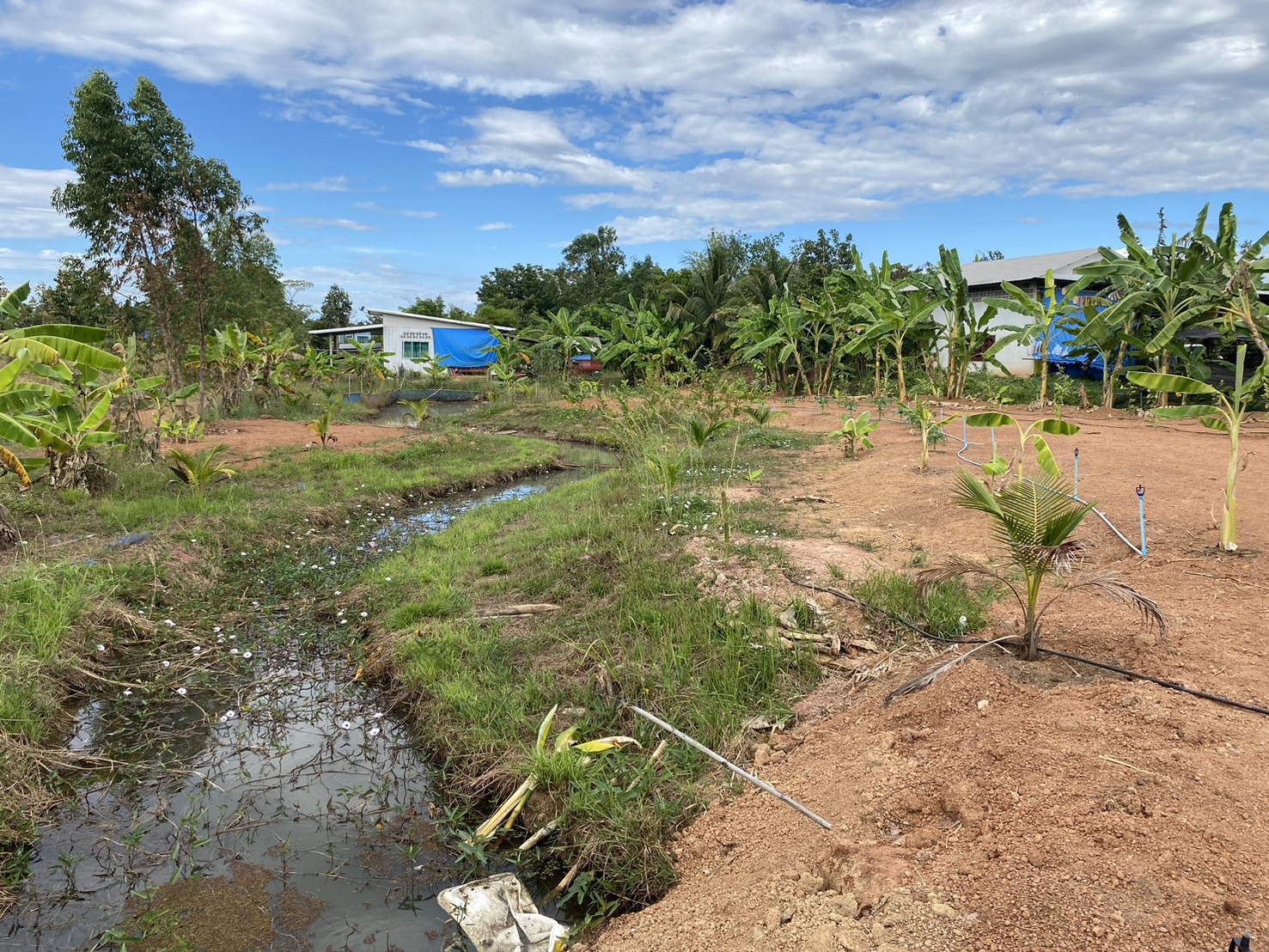 พช.นครพนม เยี่ยมชมผลสำเร็จครัวเรือนต้นแบบ โคก หนอง นา ขยายผลตามโครงการพัฒนาพื้นที่ต้นแบบการพัฒนาคุณภาพชีวิต ตามหลักทฤษฎีใหม่ประยุกต์สู่ “โคก หนอง นา”