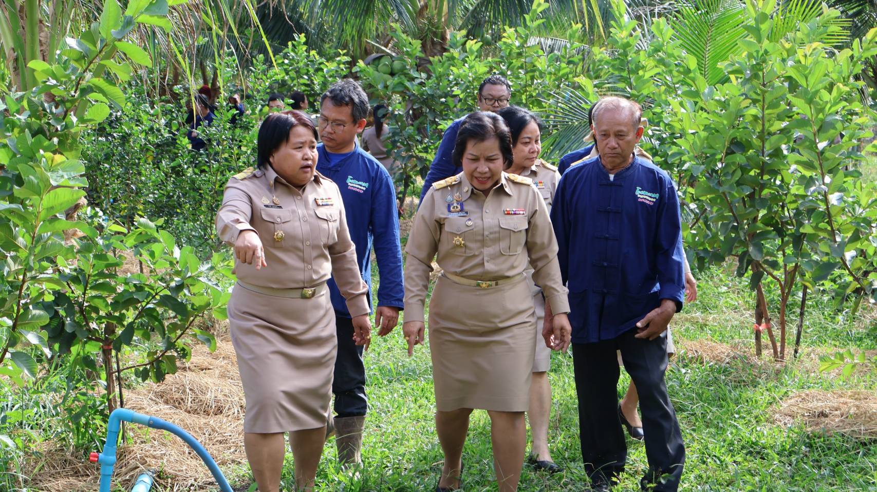 ผู้ตรวจราชการกรมการพัฒนาชุมชน นางนวลจันทร์ ศรีมงคล ปฏิบัติหน้าที่ผู้อำนวยการศูนย์ศึกษาและพัฒนาชุมชนอุบลราชธานี ลงพื้นที่ตรวจราชการมุ่งขับเคลื่อนพัฒนางานพัฒนาชุมชน ภายใต้ งาน งบ ระบบ คน อย่างมีประสิทธิภาพ พื้นที่จังหวัดนครพนม