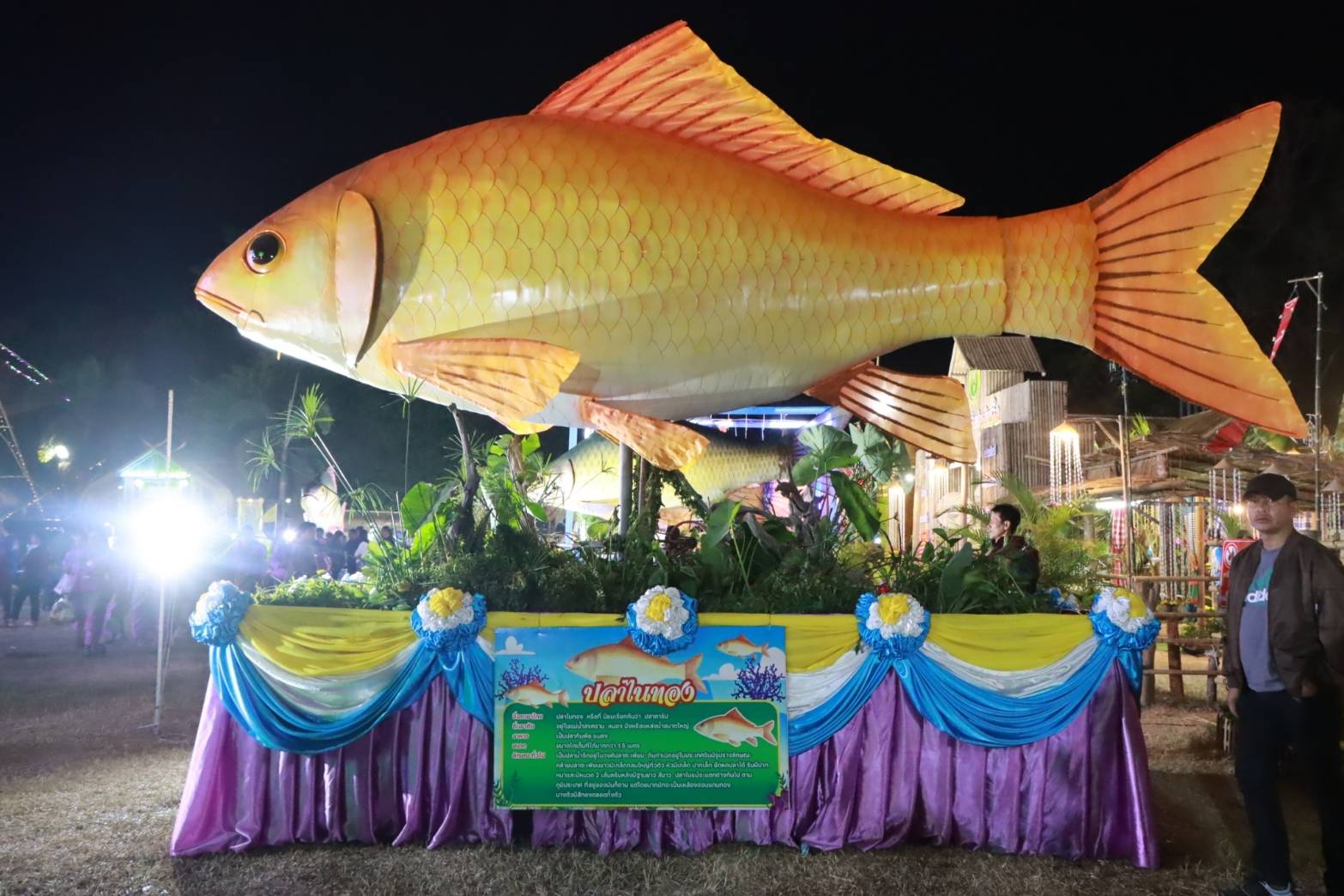 พช.นครพนม ร่วมพิธีเปิดงานประเพณีมหกรรมเทศกาลปลาลุ่มน้ำสงคราม ครั้งที่ 21