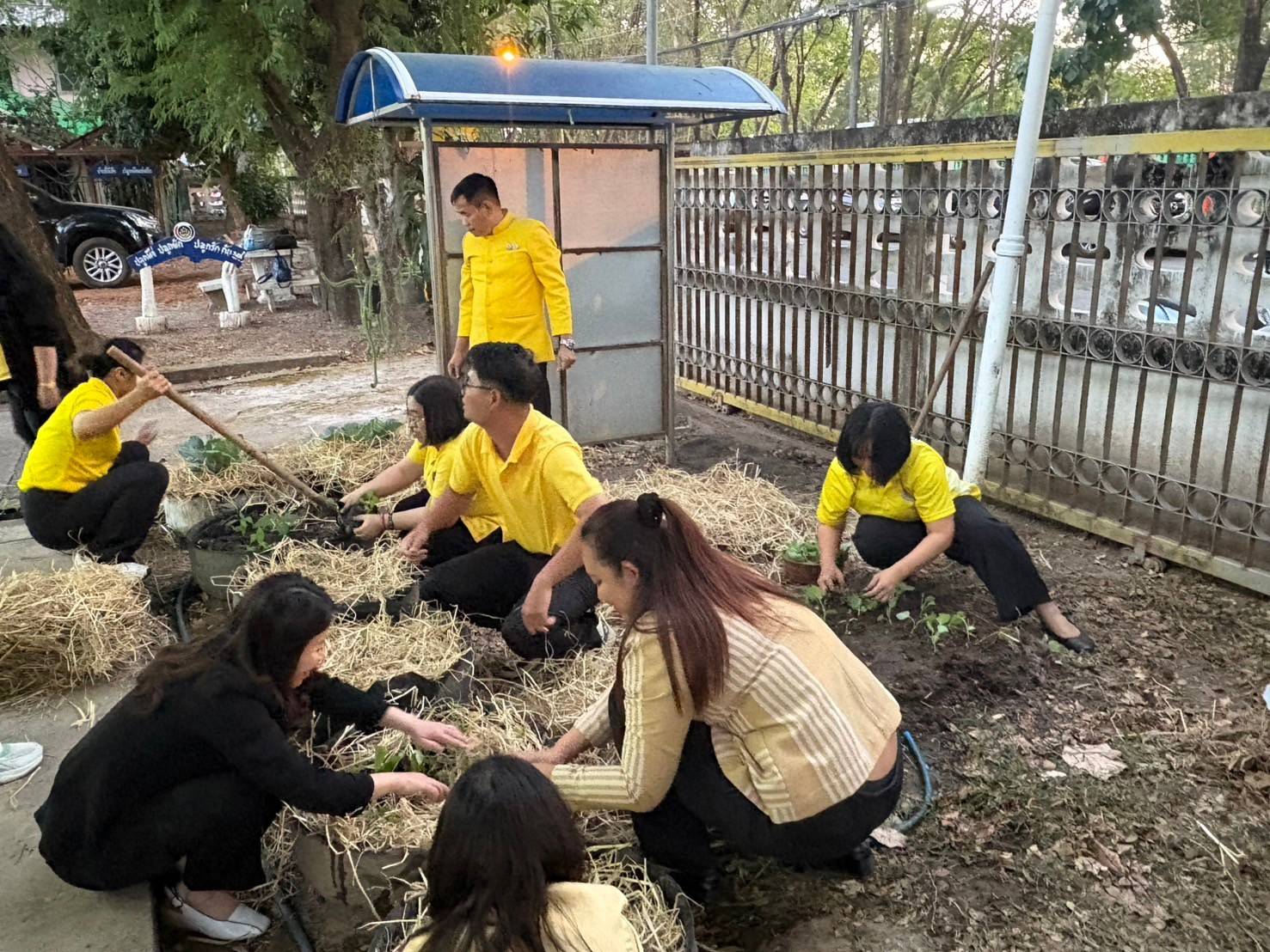 พช. นครพนม น้อมนำแนวพระราชดำริของสมเด็จพระกนิษฐาธิราชเจ้า กรมสมเด็จพระเทพรัตนราชสุดาฯ สยามบรมราชกุมารี สู่ปฏิบัติการปลูกผักสวนครัว เพื่อสร้างความมั่นคงทางอาหาร ประจำปีงบประมาณ พ.ศ. 2568 (THE CONCEPTS OF CHANGE FOR 5G) “ปรับเปลี่ยนดี ชีวีมีสุข”