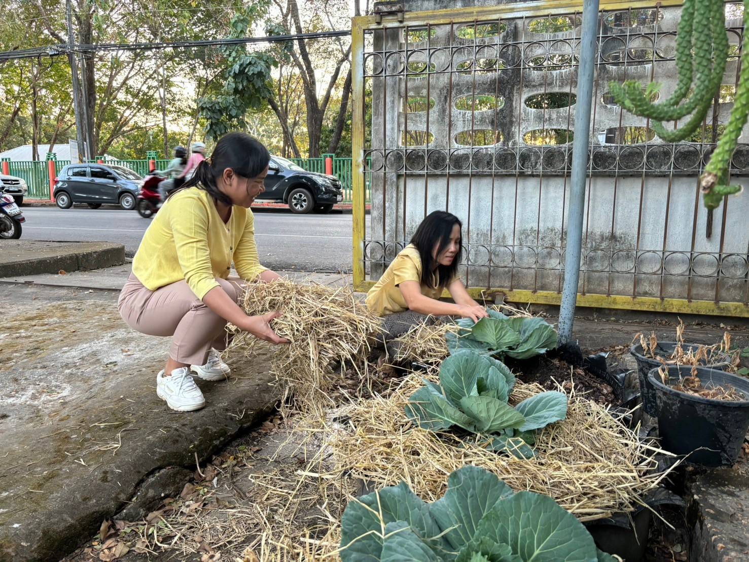 พช. นครพนม น้อมนำแนวพระราชดำริของสมเด็จพระกนิษฐาธิราชเจ้า กรมสมเด็จพระเทพรัตนราชสุดาฯ สยามบรมราชกุมารี สู่ปฏิบัติการปลูกผักสวนครัว เพื่อสร้างความมั่นคงทางอาหาร ประจำปีงบประมาณ พ.ศ. 2568 (THE CONCEPTS OF CHANGE FOR 5G) “ปรับเปลี่ยนดี ชีวีมีสุข”
