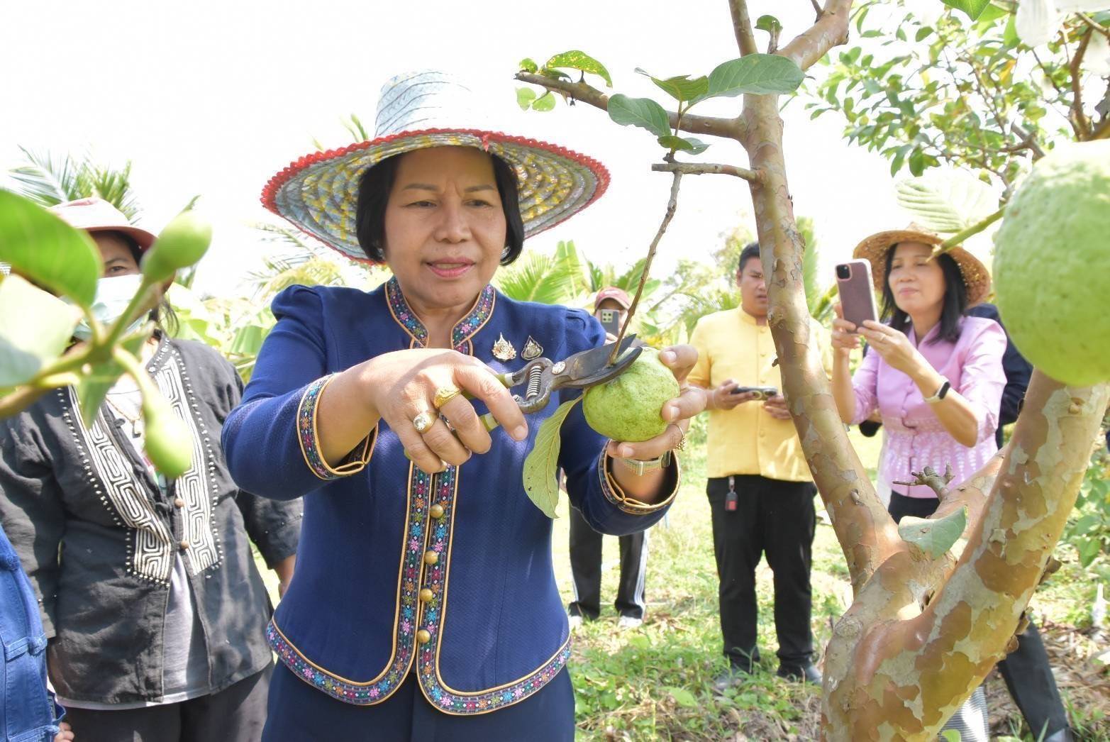 ผู้ตรวจราชการกรมลงพื้นที่ตรวจติดตามผลการดำเนินงานตามโครงการพัฒนาคุณภาพชีวิตตามหลักทฤษฎีใหม่ ประยุกต์สู่ “โคก หนอง นา “ อำเภอธาตุพนม จังหวัดนครพนม