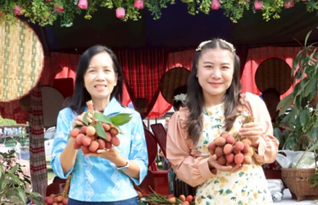 พช.นครพนม ร่วมเปิดงาน “วันลิ้นจี่ของดีตำบลขามเฒ่า” ประจำปี 2568 ดันลิ้นจี่พันธุ์ นพ.1 สินค้า GI สู่ตลาด สร้างรายได้อย่างยั่งยืน